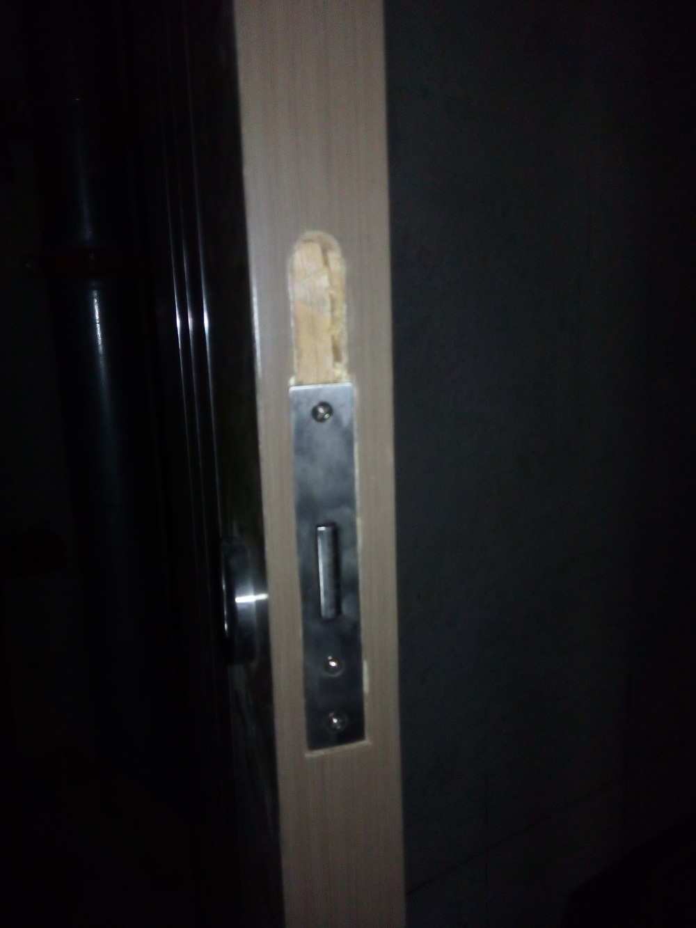 2019尚德峰國(guó)際防火門(mén)